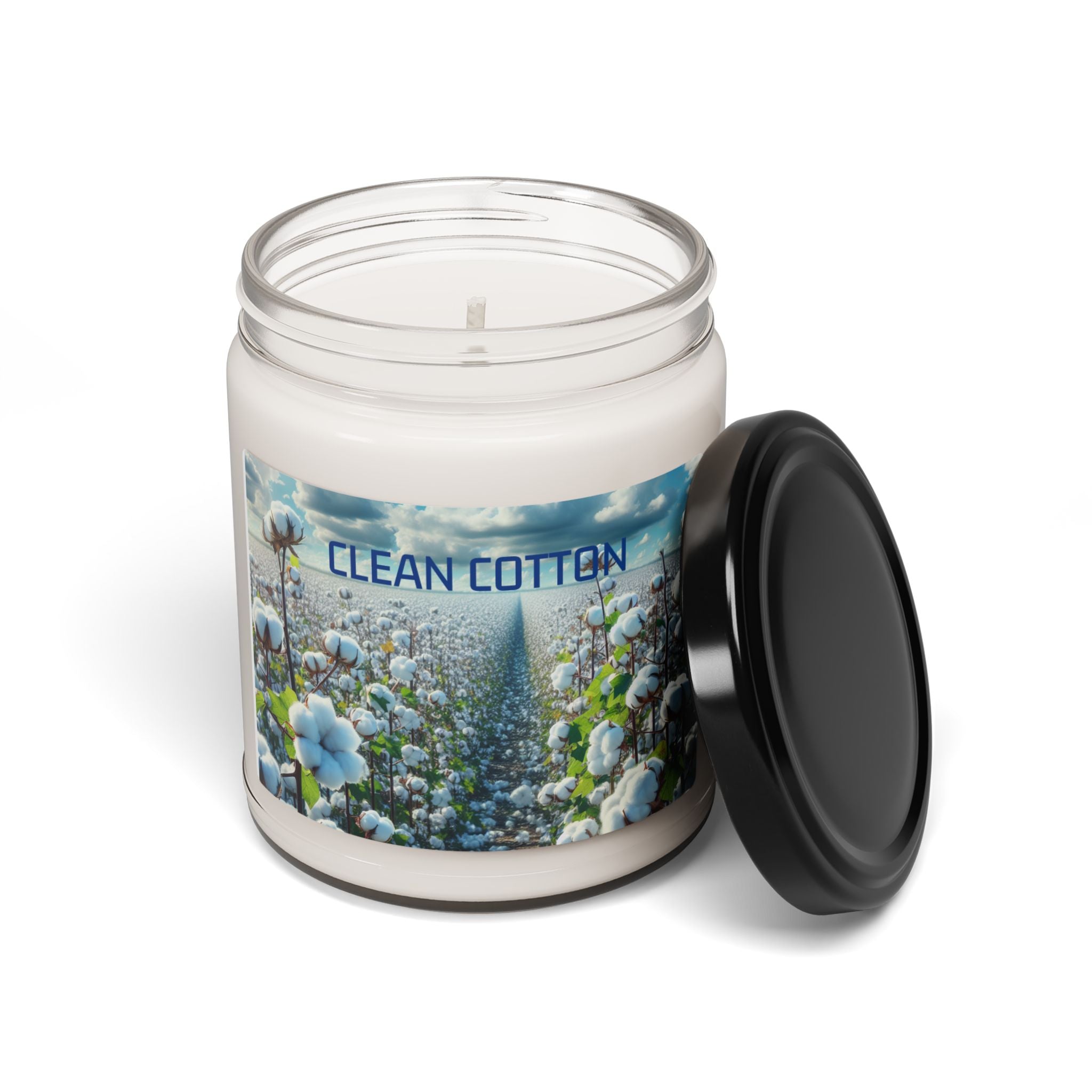 Scented Soy Candle - 9oz Aromatherapy Candle